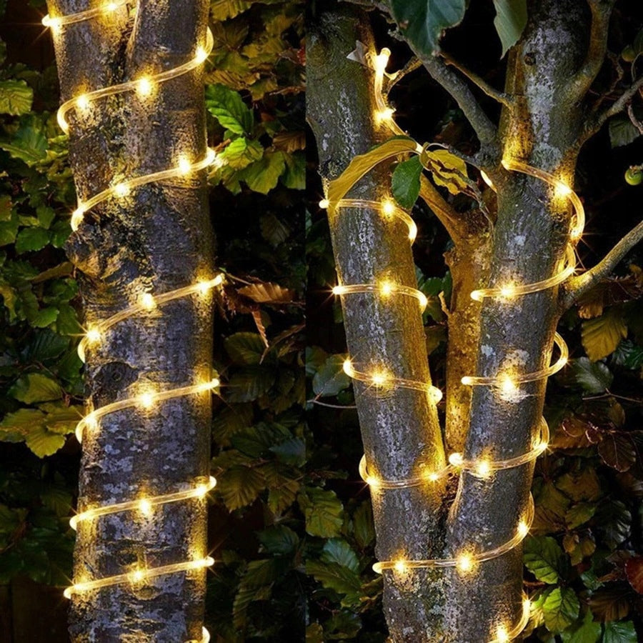 30f3e61acf0846981cf7e88fdbbab5c6 30f3e61acf0846981cf7e88fdbbab5c6